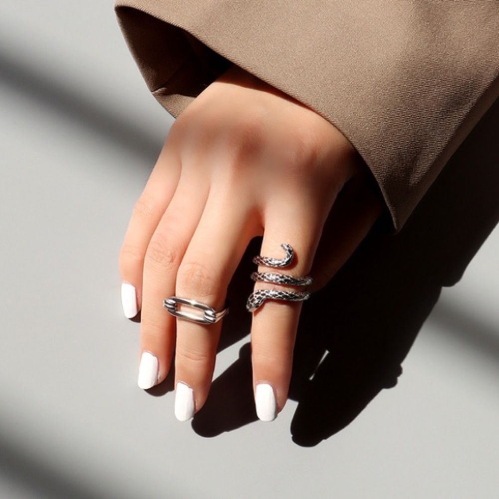 Snake 🐍 Titanium Steel Ring